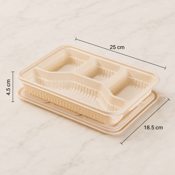 Four compartment food container showing 25 cm length and 18.5 cm width