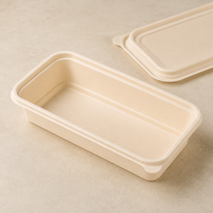 Interior detail of 550ml single compartment cornstarch food container
