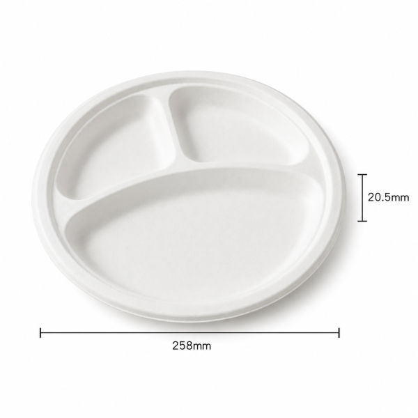 10 Inch Three Compartment Bagasse Plate