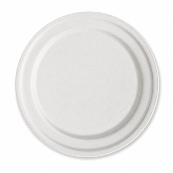 10 inch round bagasse plate bottom view on white background