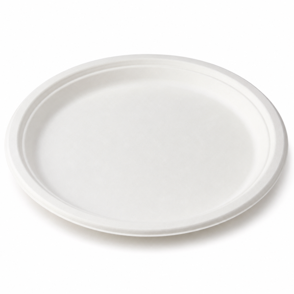 10 inch round bagasse plate front view on white background