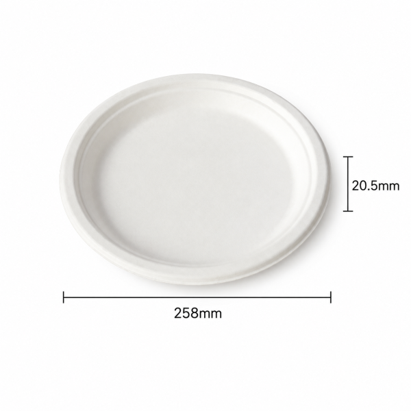 10 Inch Round Bagasse Plate