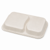 Underside of molded bagasse meal tray with unequal compartment layout