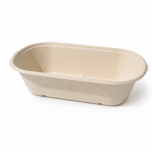1000ml single compartment bagasse food box