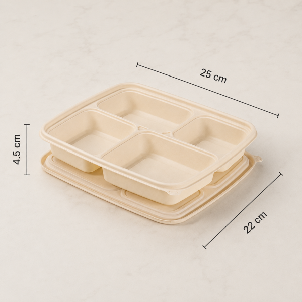 1100ml divided food container showing 25 cm length and 22 cm width