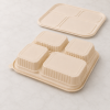 Bottom view of cornstarch food container with raised compartment structure