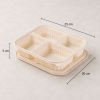 Four compartment food container showing 25 cm length and 20 cm width