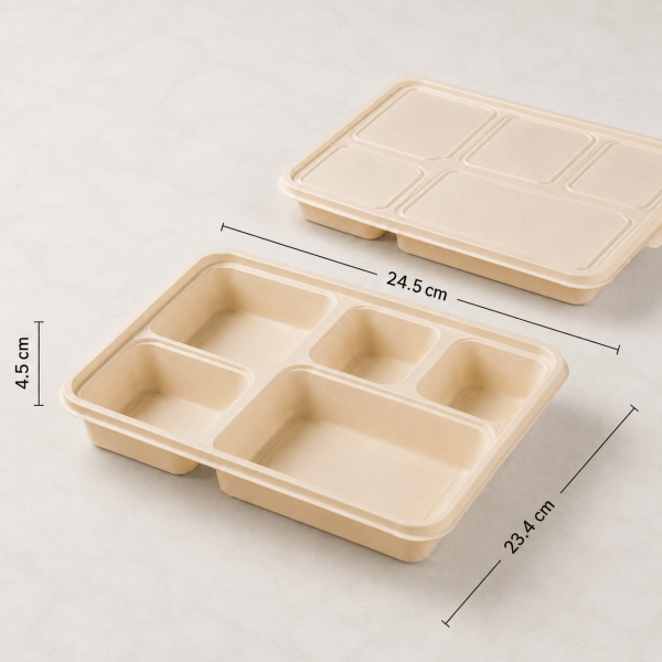 Divided takeaway meal box showing 24.5 cm by 23.4 cm size