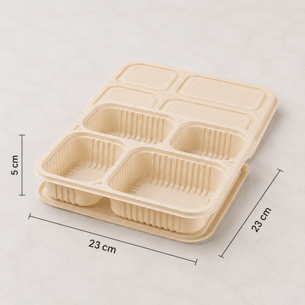 Divided food container showing 23 cm length width and 5 cm height