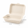 450ml bagasse takeaway container with size and depth dimensions