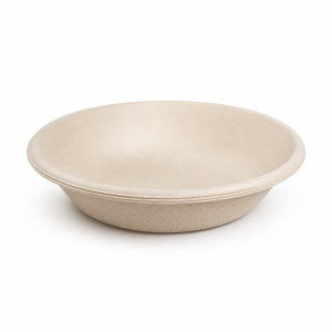 480ml bagasse bowl front view for food service