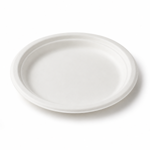 6 inch round bagasse plate front view