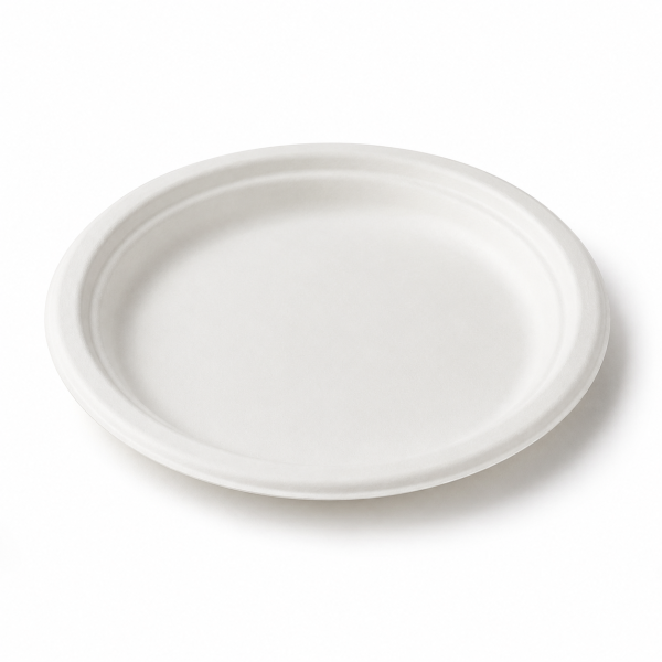 6 inch round bagasse plate front view