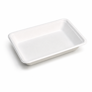 8 inch bagasse food tray displayed from front on clean white background