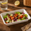 8 inch bagasse food tray serving fresh salad on rustic wooden table