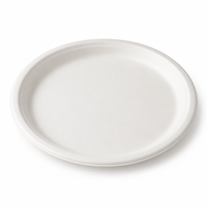 8 inch bagasse round plate for disposable food service