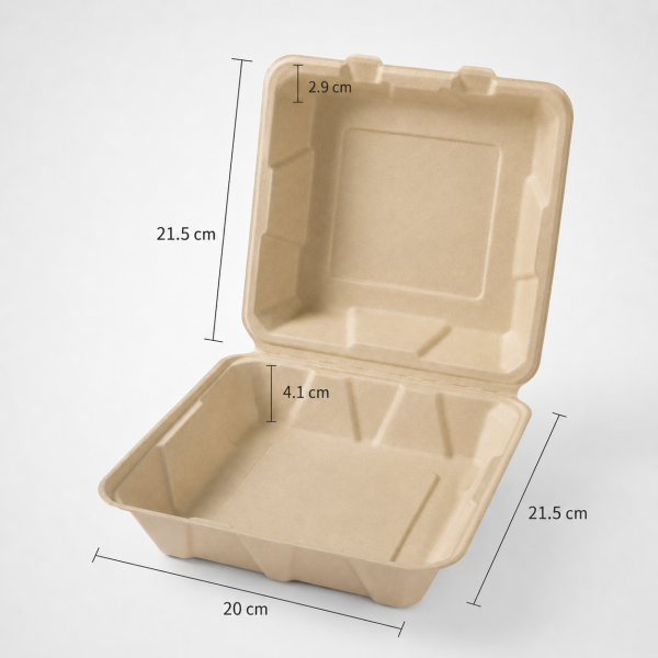 8 inch bagasse takeaway container with 20 by 21.5 cm dimensions