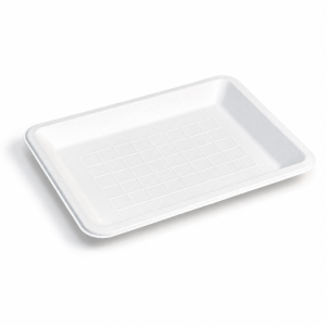 8 x 6 inch bagasse food tray with shallow rectangular design