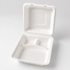 9 inch white three compartment bagasse clamshell food container
