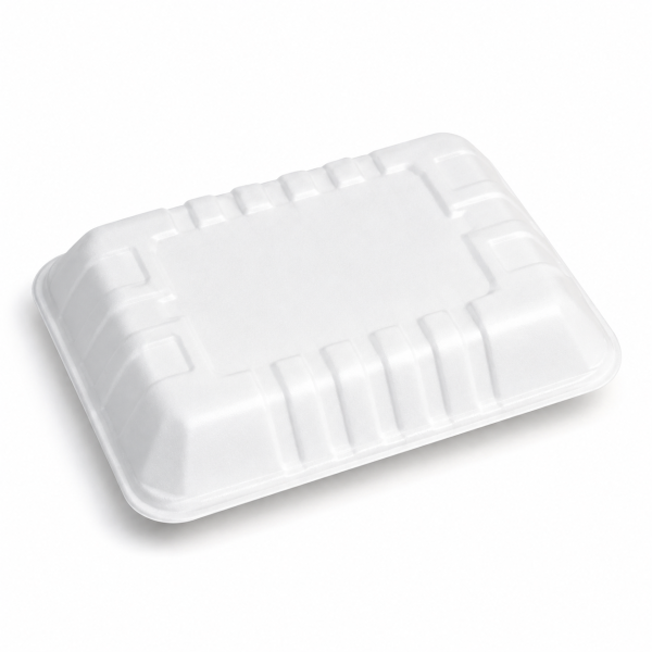 9 x 6 Inch Bagasse Food Tray
