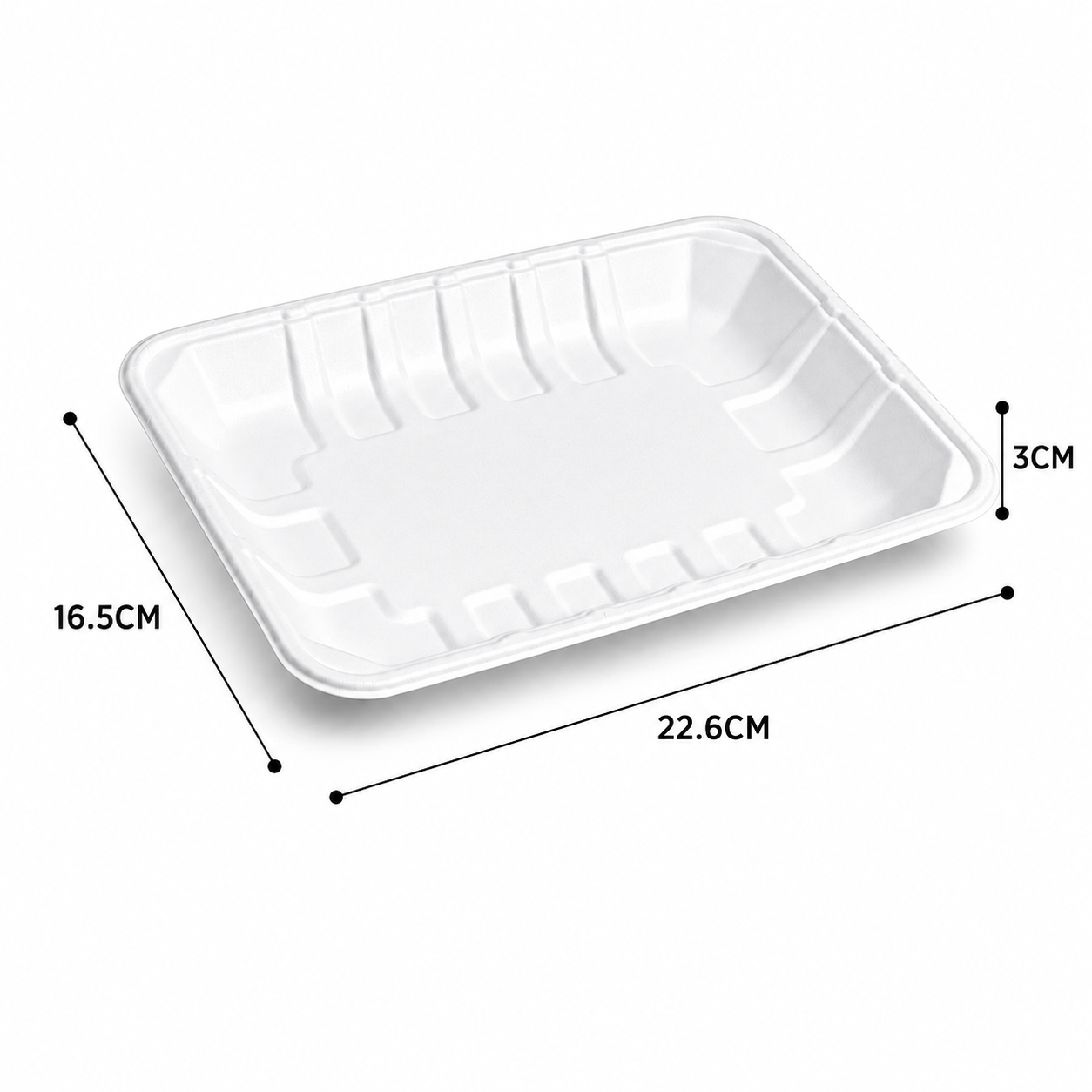 9 x 6 inch bagasse food tray dimensions