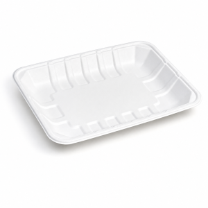 9 x 6 inch bagasse food tray front view