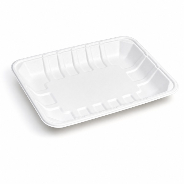 9 x 6 inch bagasse food tray front view