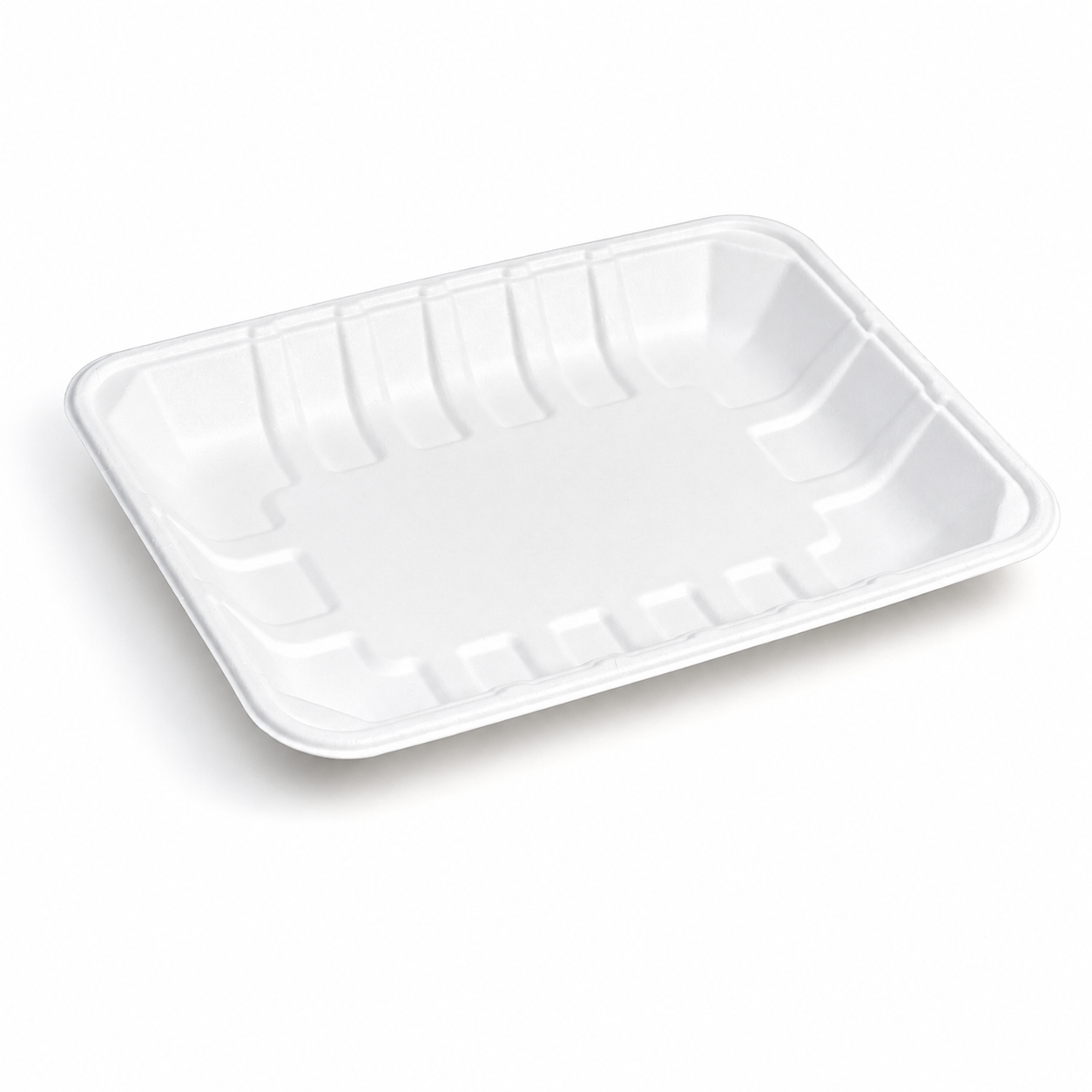 9 x 6 inch bagasse food tray front view