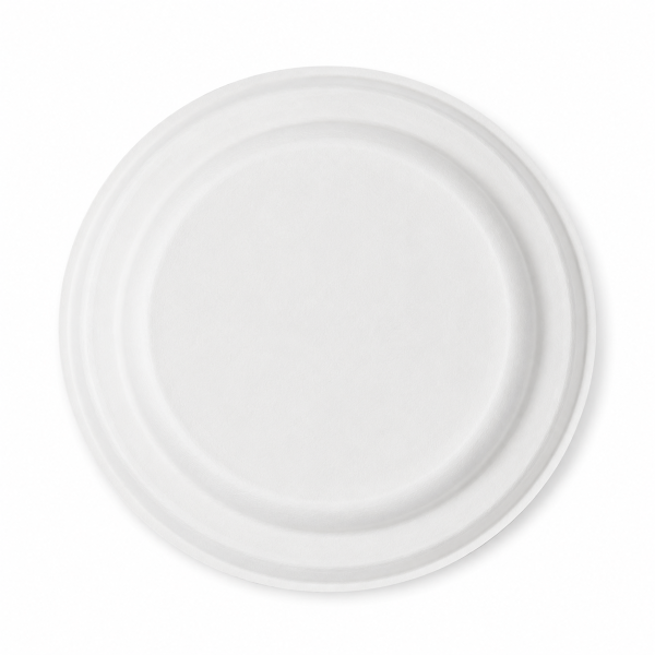 Bottom view of durable bagasse divided plate design