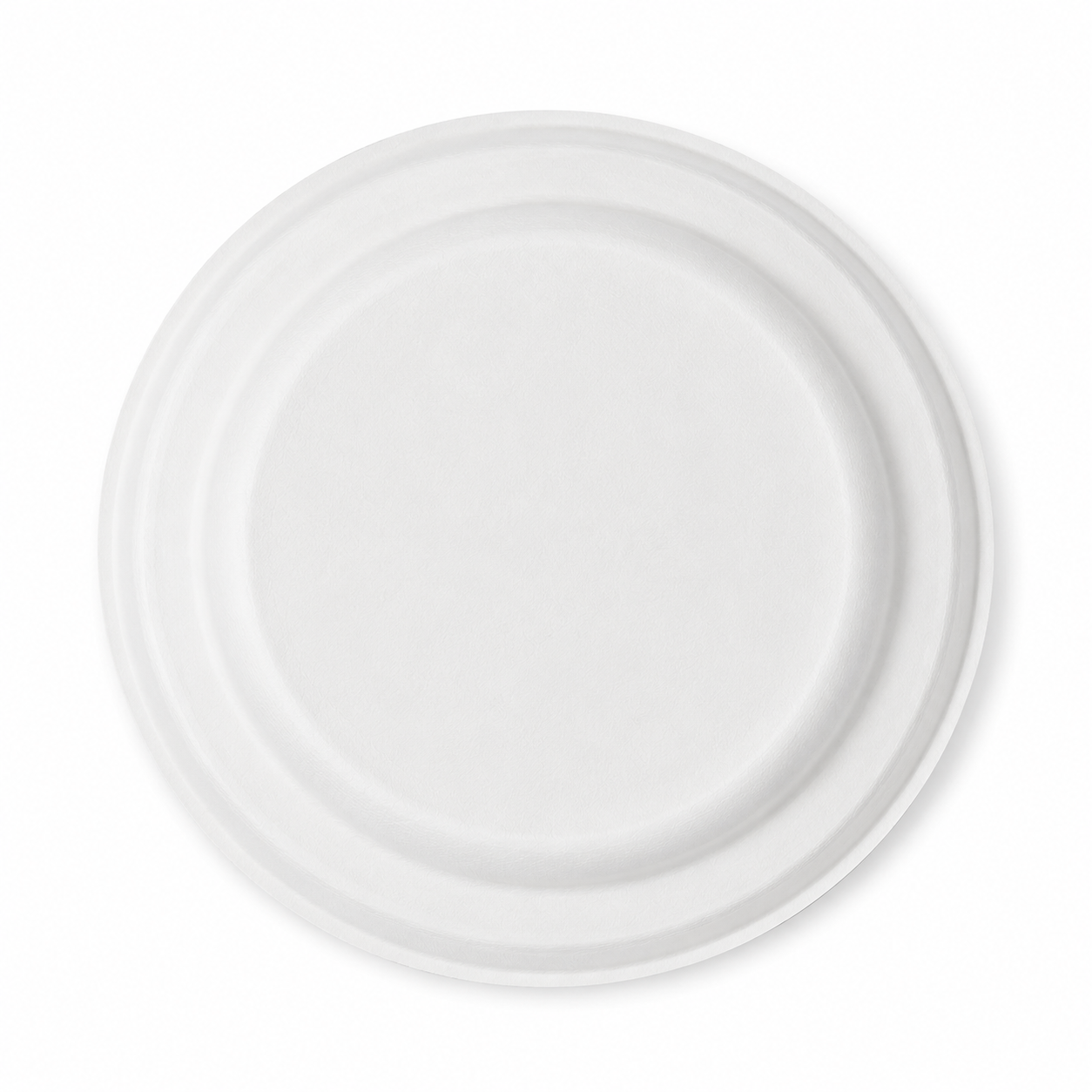 Bottom view of durable bagasse divided plate design