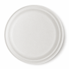 Three section bagasse plate bottom structure view