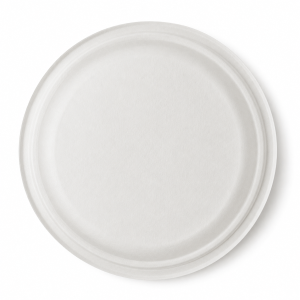 Three section bagasse plate bottom structure view