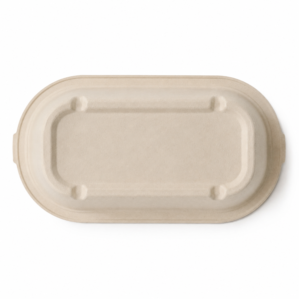 Bottom view of single compartment bagasse food box